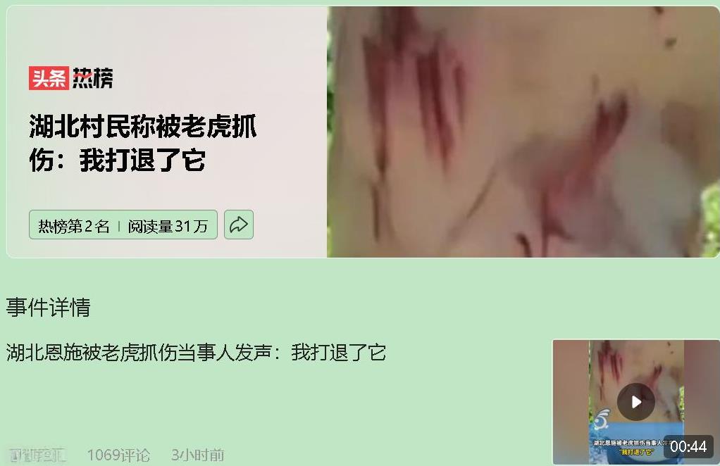 湖北恩施高峰村的李先生，干农活时被一只两米长的老虎扑倒，腰和臀部被抓伤。生死关头