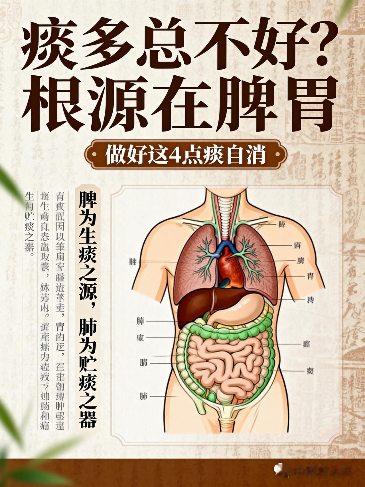 痰多总不好？别瞎化痰！根源在脾胃，做好这4点痰自消大家好，我是中医陈大夫！