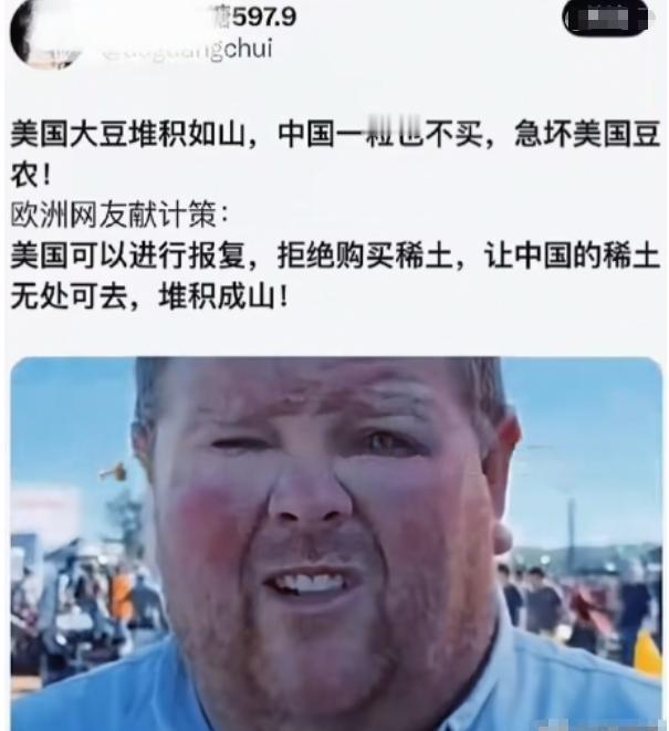 稀土VS大豆：欧洲的“损招”为何反噬美国自己？