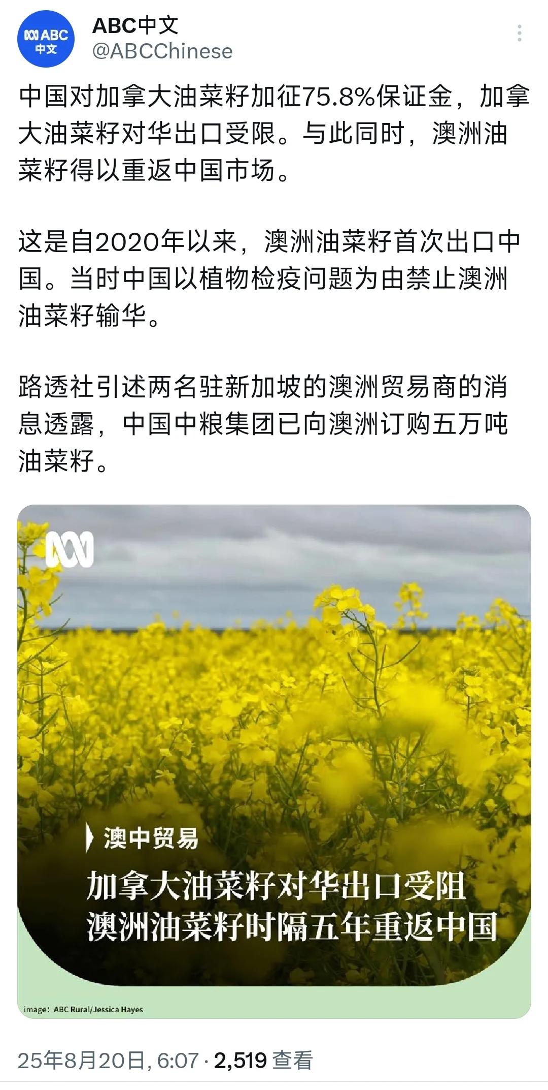 澳大利亚广播公司（ABC）今天（8月21日）写道：“中国对加拿大油菜籽加征75.