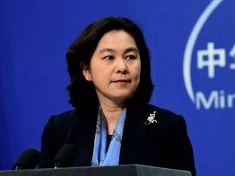 华春莹青睐的化橘红，到底是什么好东西？化橘红为什么能被称作“南方人参”，还