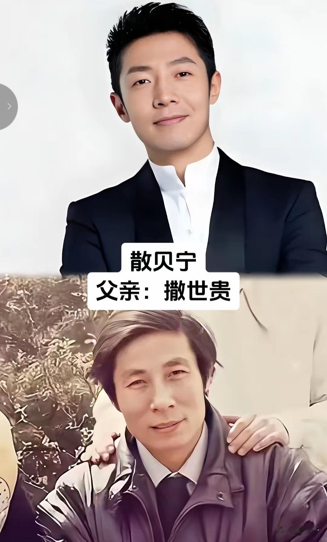 家风致远，父爱如山，看看几位央视主持人背后的父辈力量台上，他们是从容笃定、
