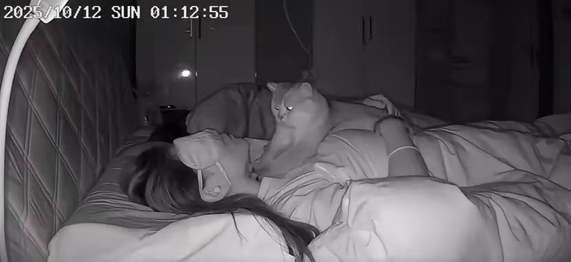 一位女生翻看监控才发现，自家猫咪每晚都执着地用爪子揉她的脖子位置，一开始只觉得暖