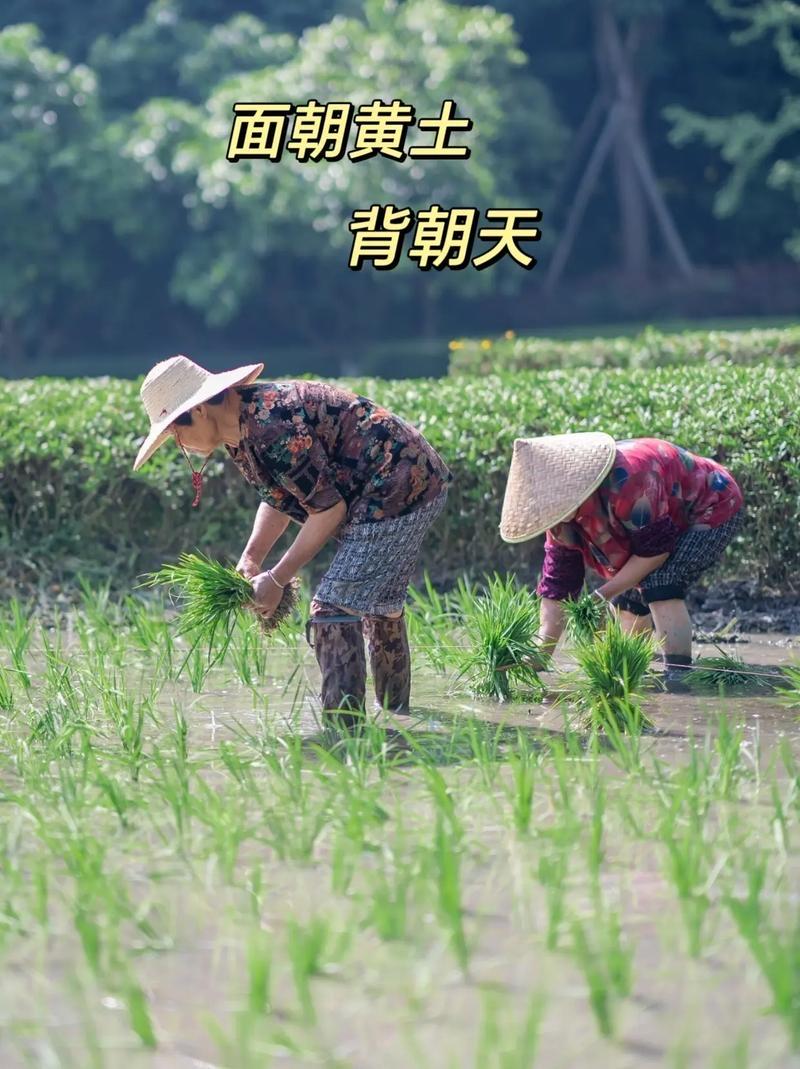 以前亲属之间走动，是因为利益关系不大，基本不动钱，即便动钱也很少，但是现在正相反