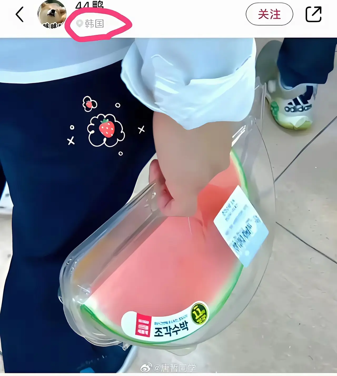为啥中国的西瓜不出口到韩国？