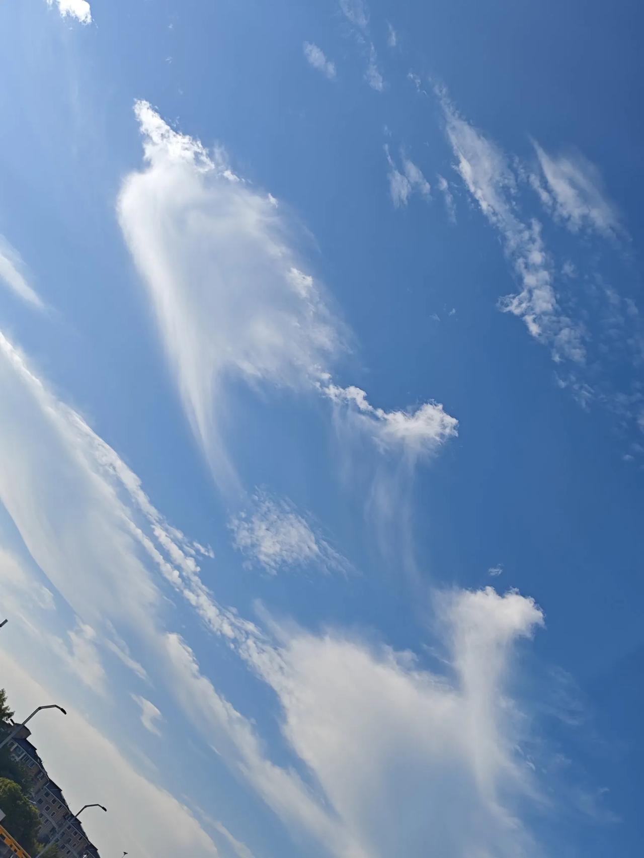 今天拿着CT去医院看病。起初挂了一个在我们省比较有名的专家号，进了医生办公室，医