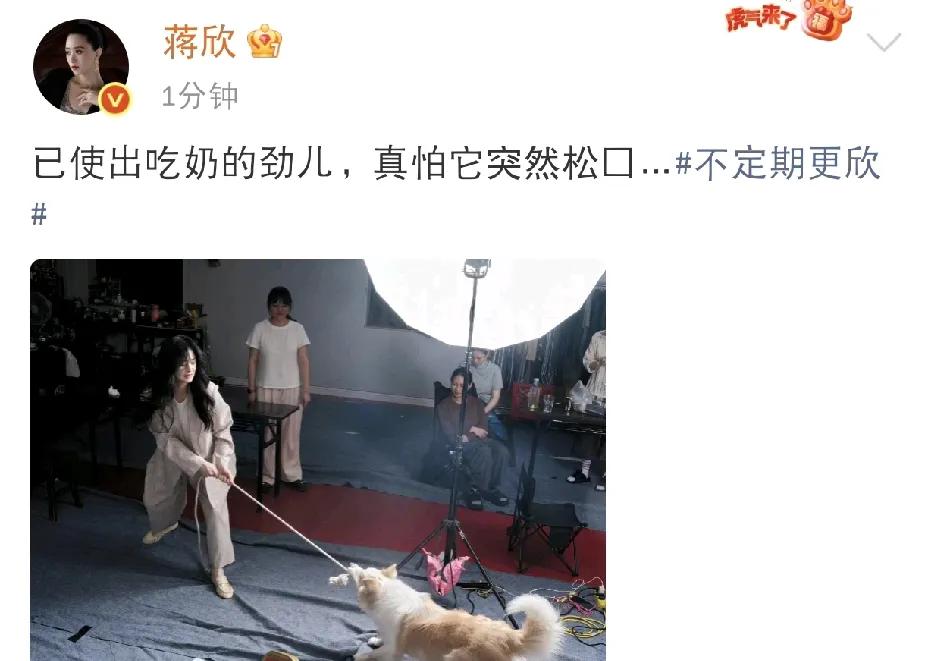 蒋欣，这太惊险了啊！8月3日下午，蒋欣在社交平台晒出一组动态，配文写道：“已