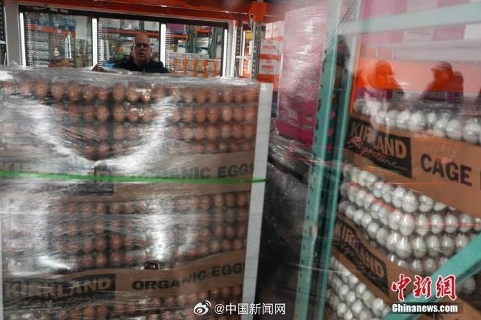 【#美国向欧洲多国询问是否可出口鸡蛋#】综合报道，美国鸡蛋价格飙升的局面仍在持续