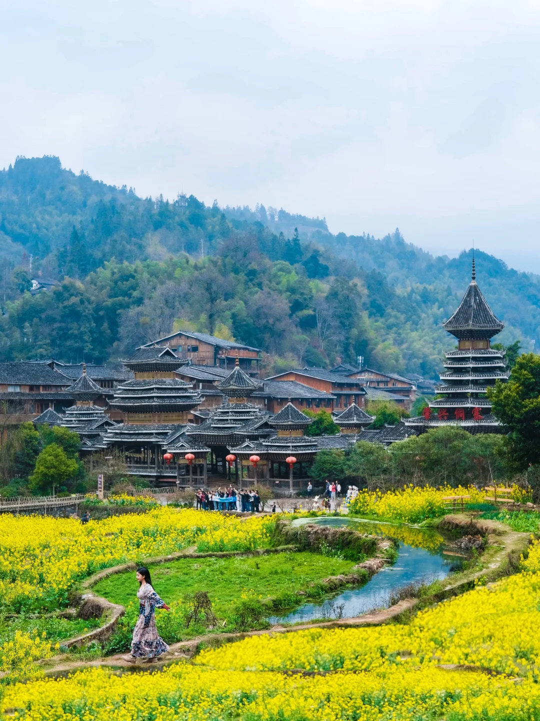 肇兴侗寨油菜花开啦！妇女节全国女性免票哦