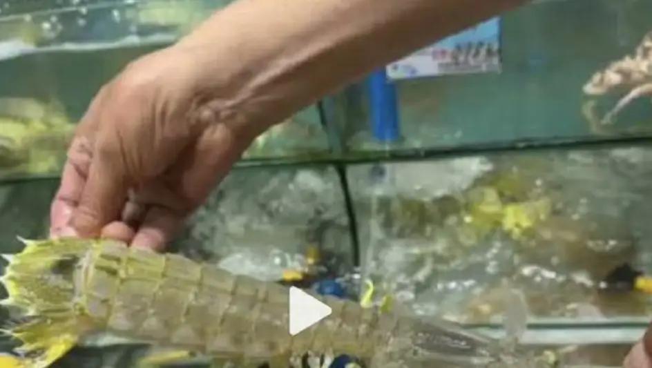 皮皮虾事件游客已删除所有爆料内容，现在来看所谓的爆料都是空穴来风。吃之前签字