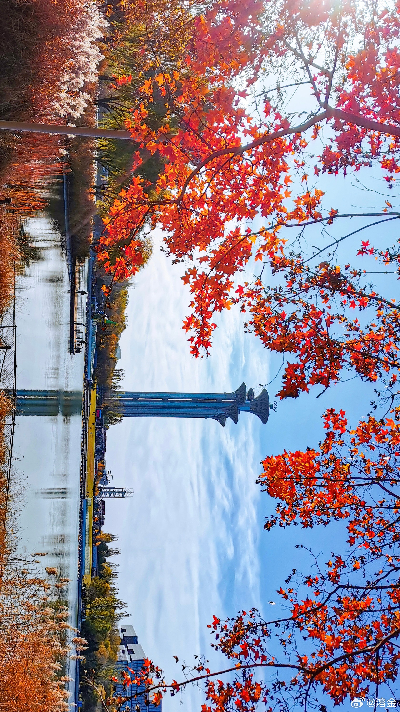 【奥林匹克森林公园】京城最是秋好处，橙黄橘绿满奥森一起欣赏北京初冬美景摄影​​​