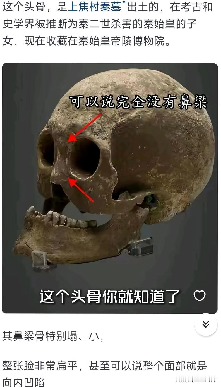 这个头骨是上焦村秦墓出土的，在考古和史学界被推断为秦二世杀害的秦始皇的子女，现在