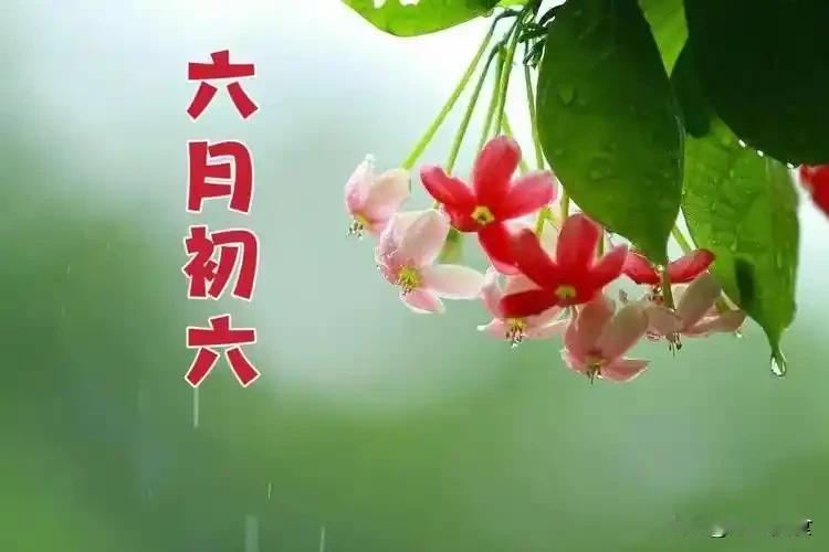 流光忽已至伏中：农谚“三伏热不热，就看六月初六”，今日六月六，今夏三伏很热吗？