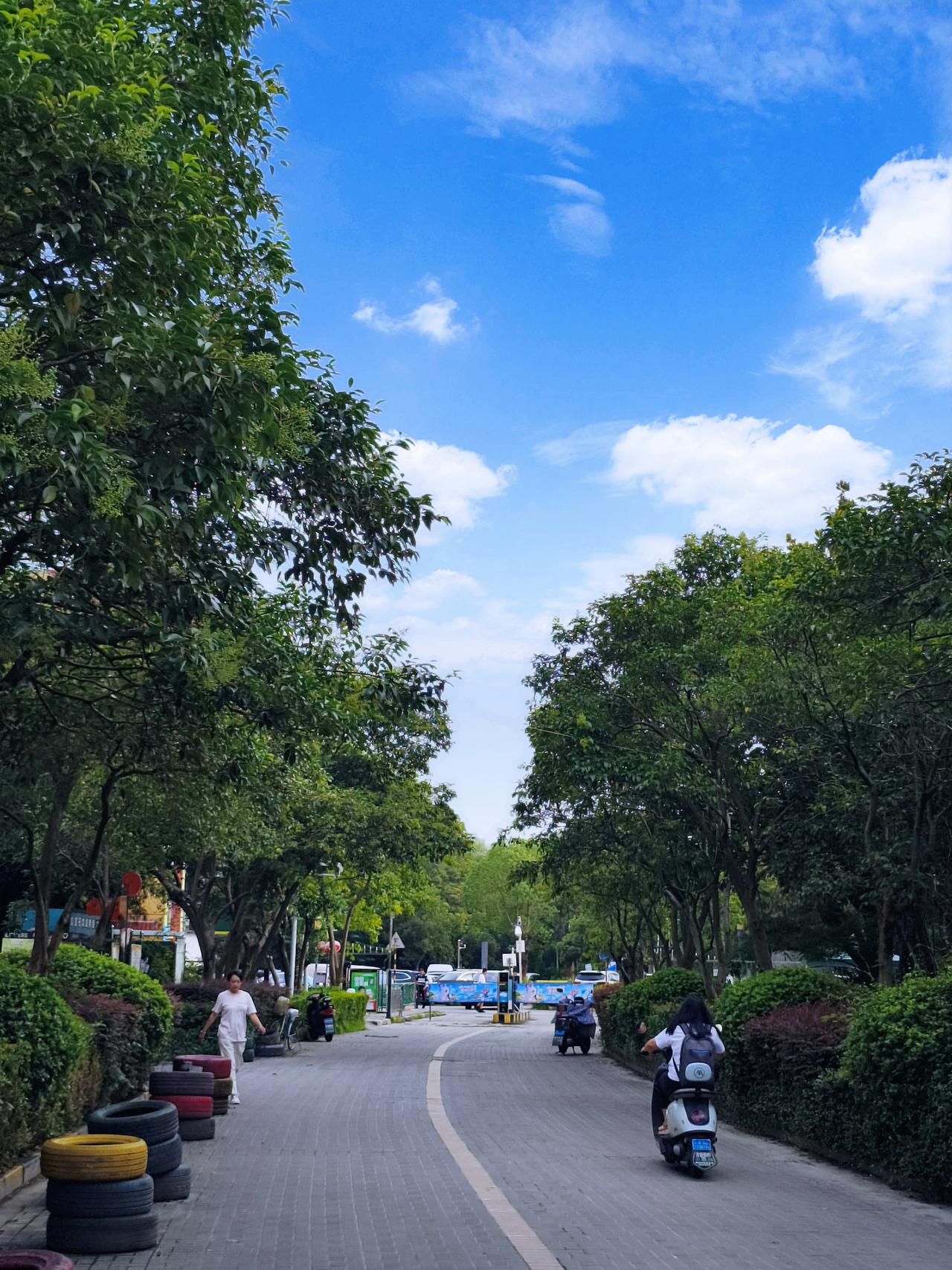 南京今天这天气，一早就被大太阳炙烤，江苏省气象台都发高温黄色预警了，看来上午是和