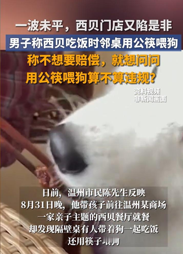 顾客用店里的公筷喂狗，西贝又摊上事了！近日，消费者陈先生说自己看到西贝有顾客用公