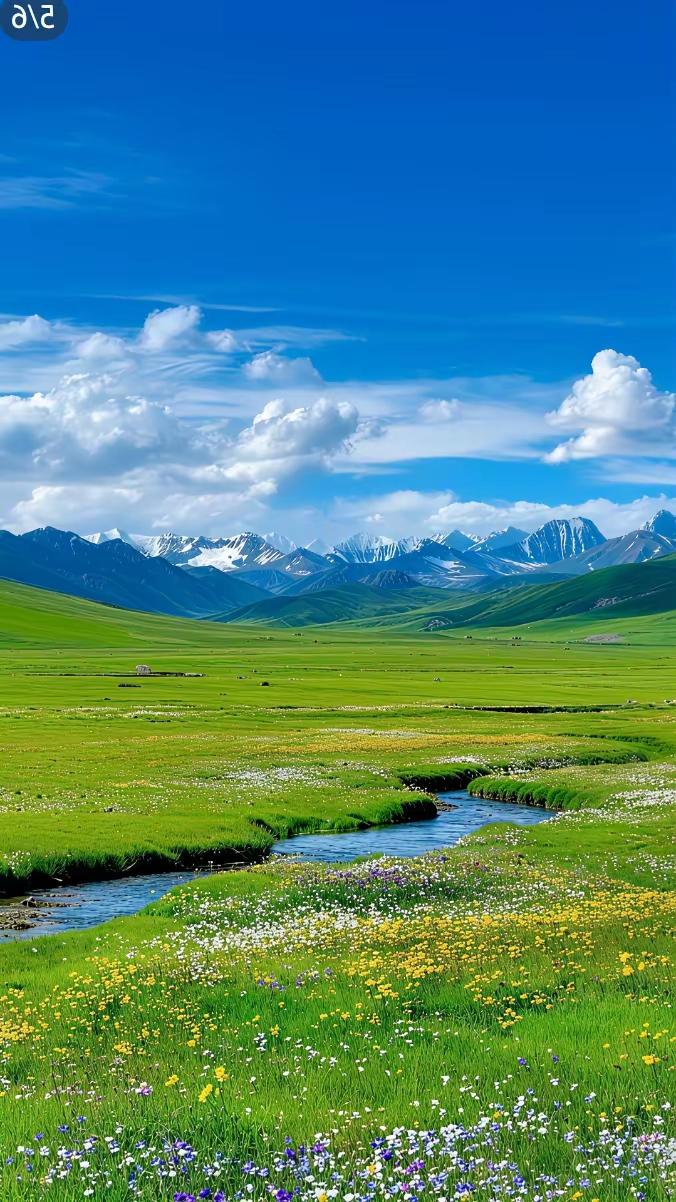 慢慢变老，悄悄变好不再急着解释也不再拼命证明什么那些曾经放不下的输