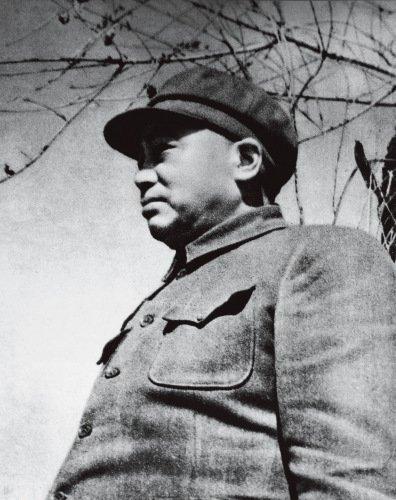 73年彭梅魁看望昏迷的彭德怀，医生问她是谁，彭德怀：是我的女儿。这位横刀立