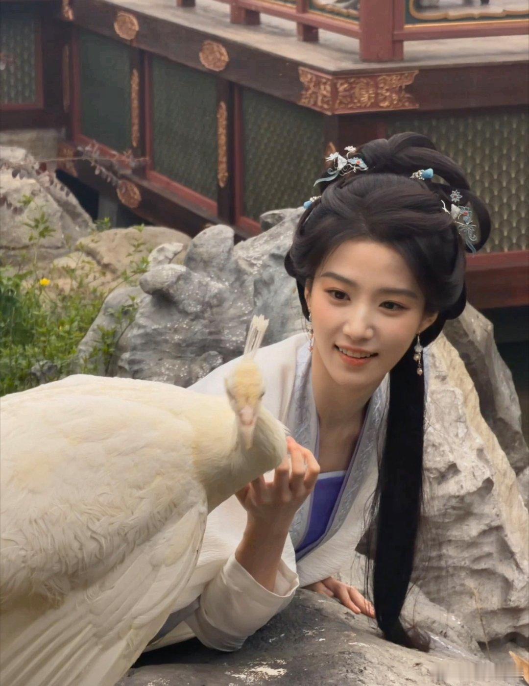 卢昱晓和鞠婧祎你更pick谁