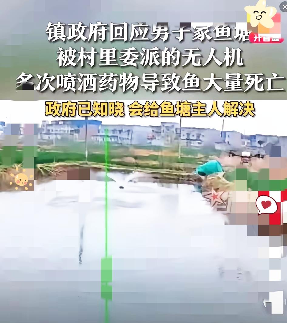 无人机植保彻底乱套了，再不管真要出大事。前阵子祸害油菜花毒死蜜蜂，现在直接往