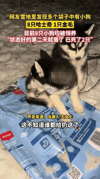 泪目了！这天夜里一位姐姐下夜班回家，他走在雪地里，觉得很有感觉，正当他欣赏雪景的