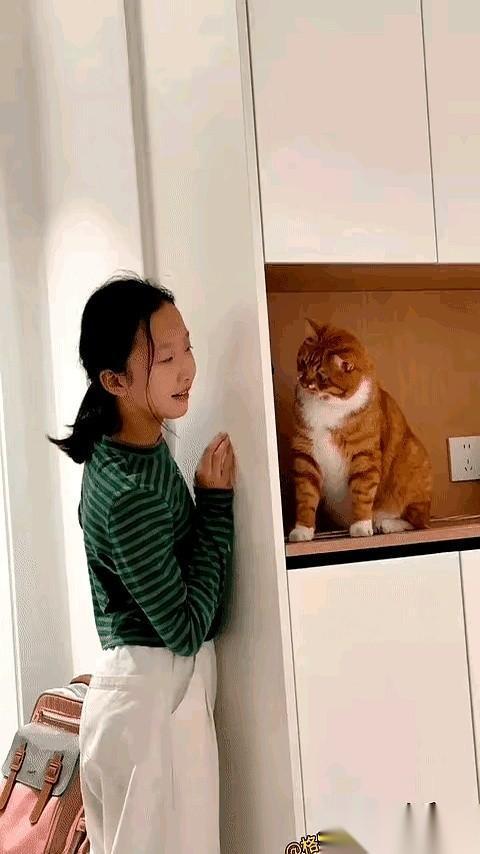 有些事，从一开始就注定了结局。比如，你跟一只猫玩儿「躲猫猫」。你以为自己藏得
