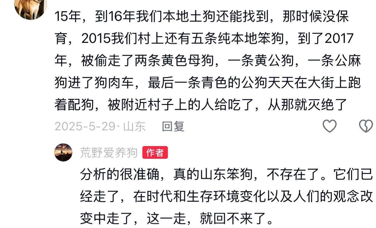 太行犬的买家中，有很大一部分是我们山东人。大批量买进太行犬，是为了用它们来替代我