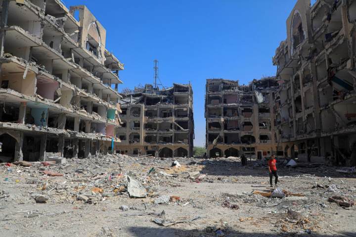 八国发表联合声明