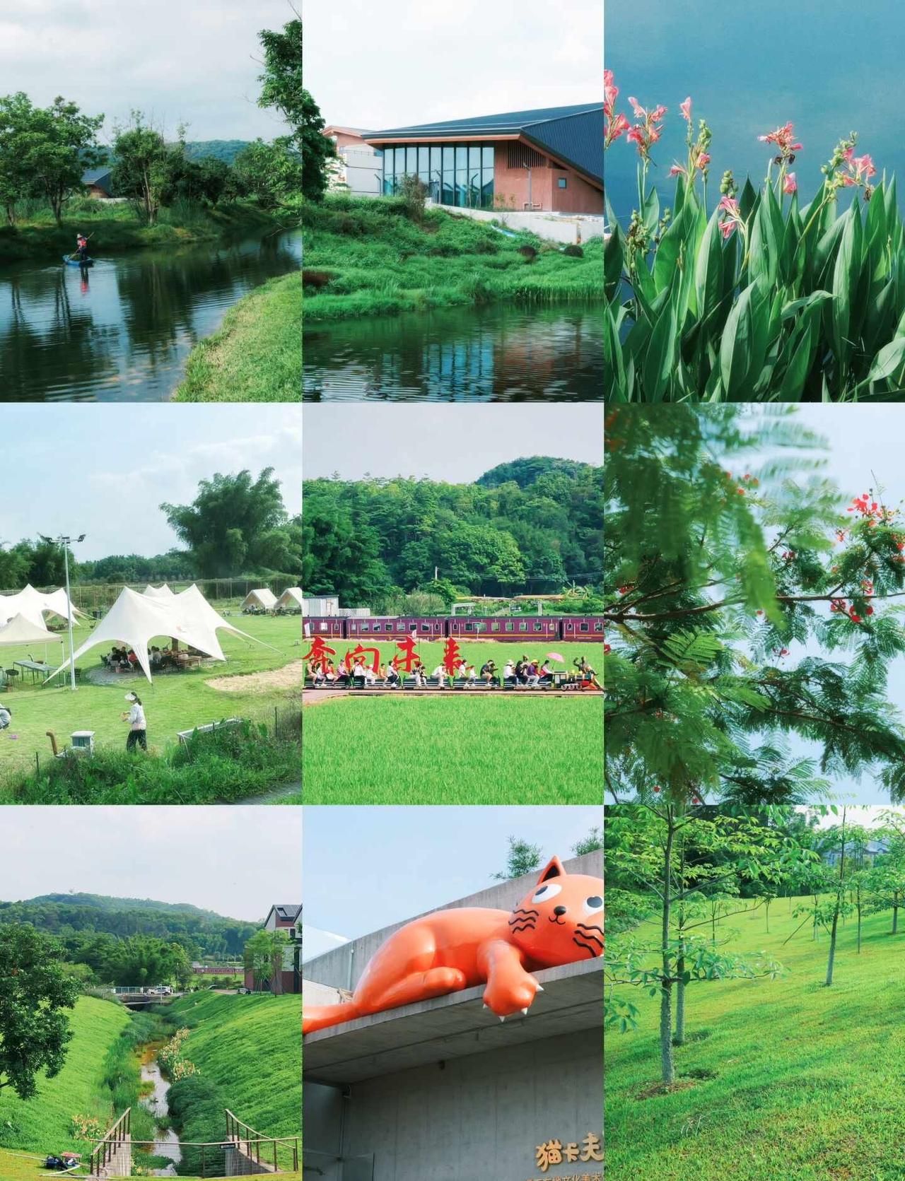 被黄埔绿野仙踪的露营地治愈了🌿黄埔迳下村晴天封神🤩谁能拒绝藏在乡村里的治