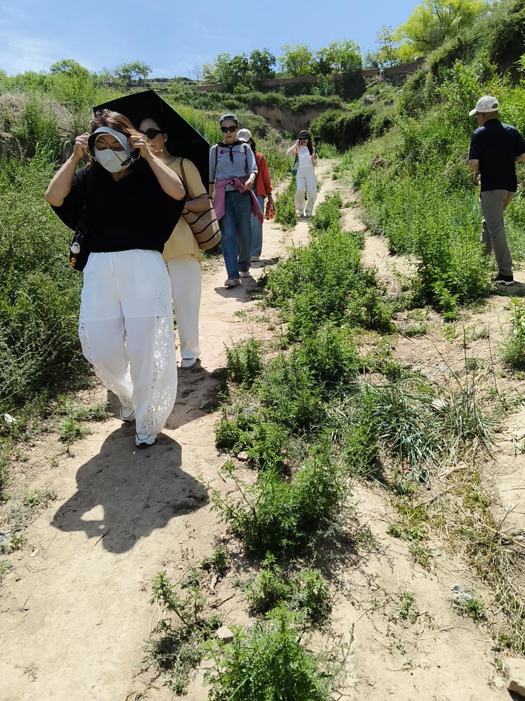在兰州这个地方紫外线非常的强最近很多人都去兰州市七里河区魏岭乡柳树湾村去看芍药