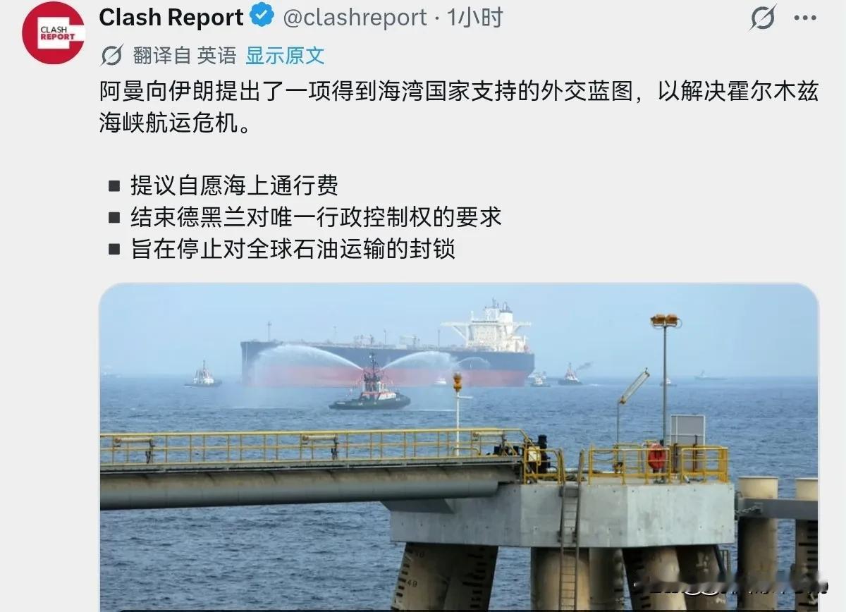 海湾国家认了！阿曼牵头给伊朗开出了一个条件，就等伊朗点头同意！7月28日，根据外