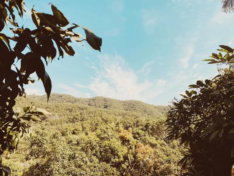 我是凶险的妇科癌症，中晚期卵巢癌—高级别浆液型低分化乳头状腺癌—