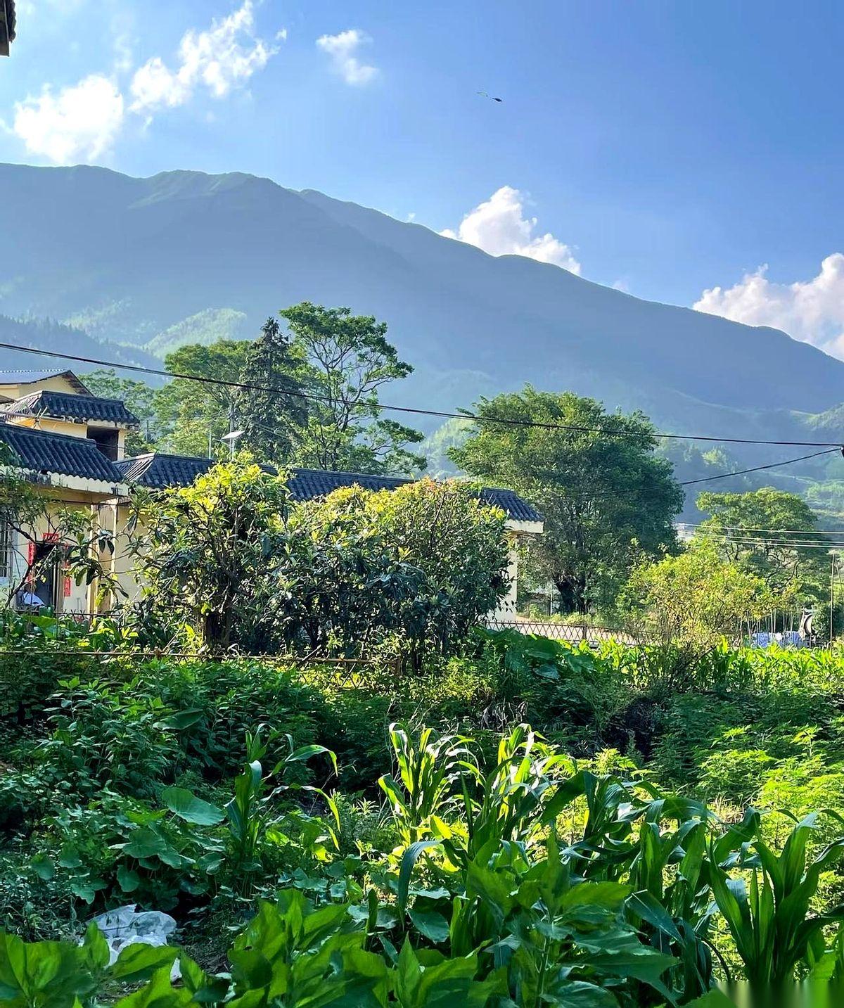 我按下免提，我妈的声音冲了出来：“你那套房，给你弟。”电话打来时，我刚化疗完，