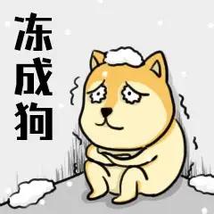 河北、山东、河南的朋友今早出门都冻懵了吗？10月中旬就被冷空气按头穿厚衣，一出