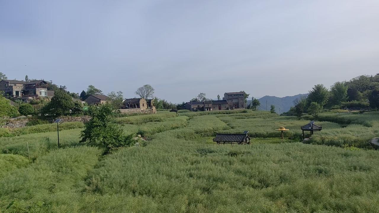 今日运势：丙午年壬辰月辛未日2026.4.27日鼠：做事要守规矩牛：避免