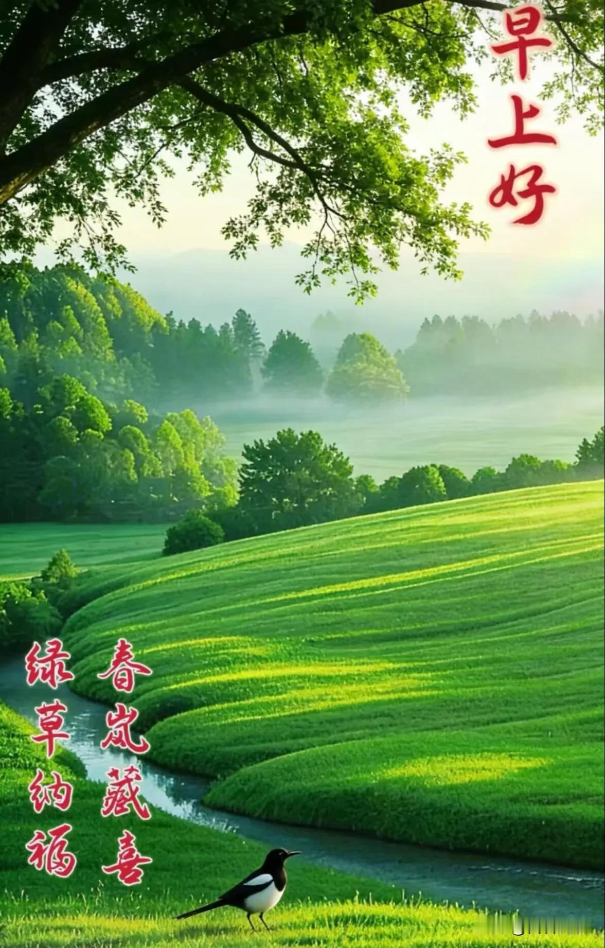 借一缕春风，赠一份安然，愿春来疫散，万事皆如愿。