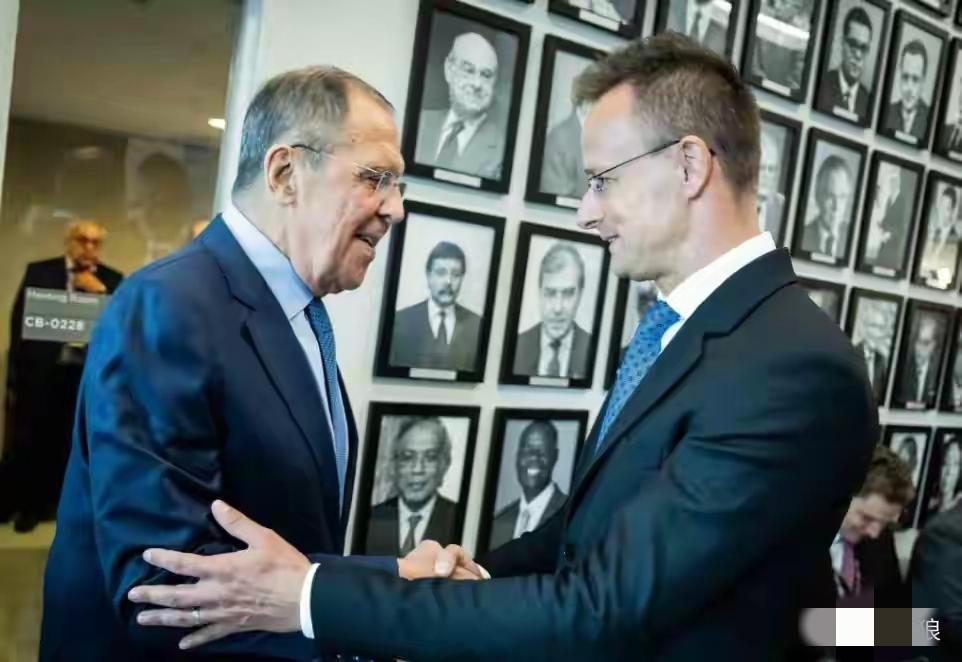 这才是真正的背叛人民的叛徒。据悉，匈牙利前外长西雅尔多卸任