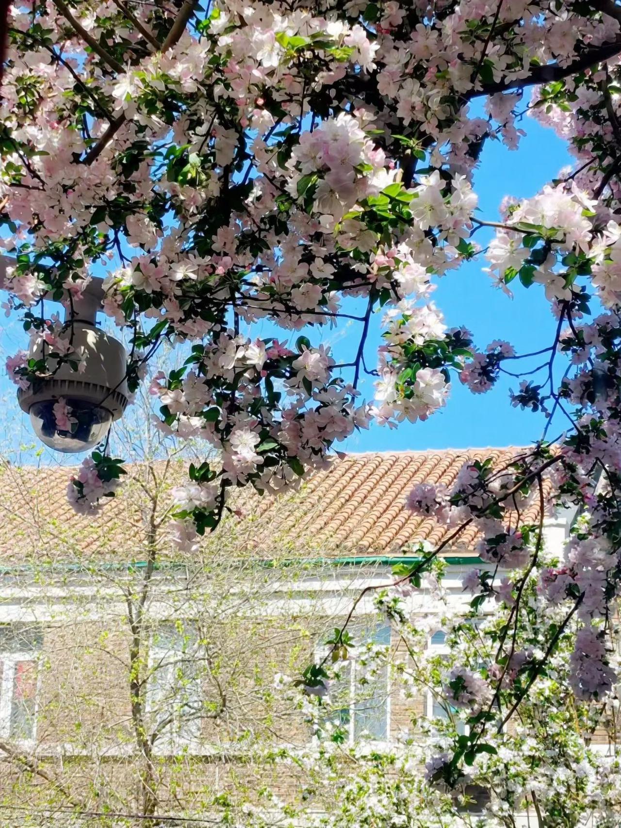 今天回老家收拾屋子，房子租出去了。老邻居说：这下宽裕点了。我说：不会啊，房租