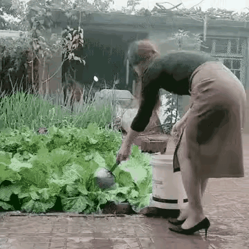 不是，看了三遍，才反应过来，干嘛下雨天浇水！[捂脸哭][捂脸哭][捂脸哭][捂脸哭]