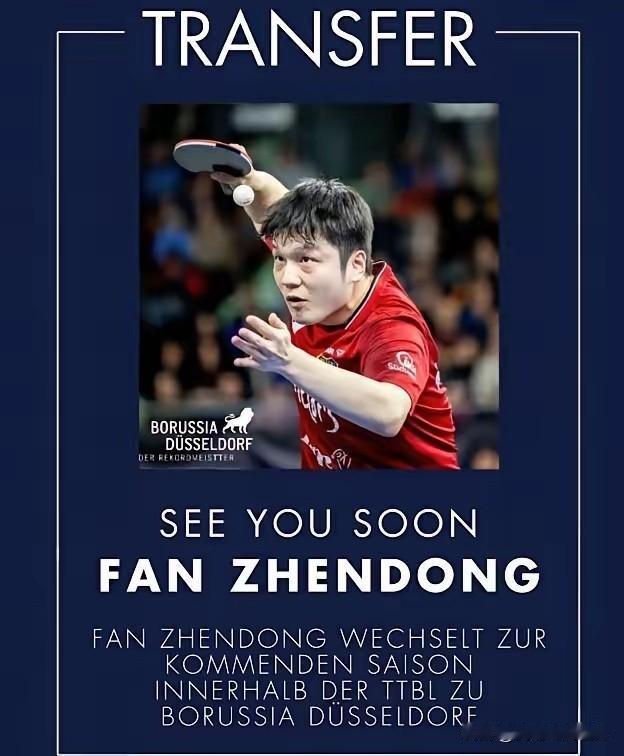 其实我是有点失落，樊振东没回来，反而续签了杜塞尔夫，这就意味参加洛杉矶奥运会的不