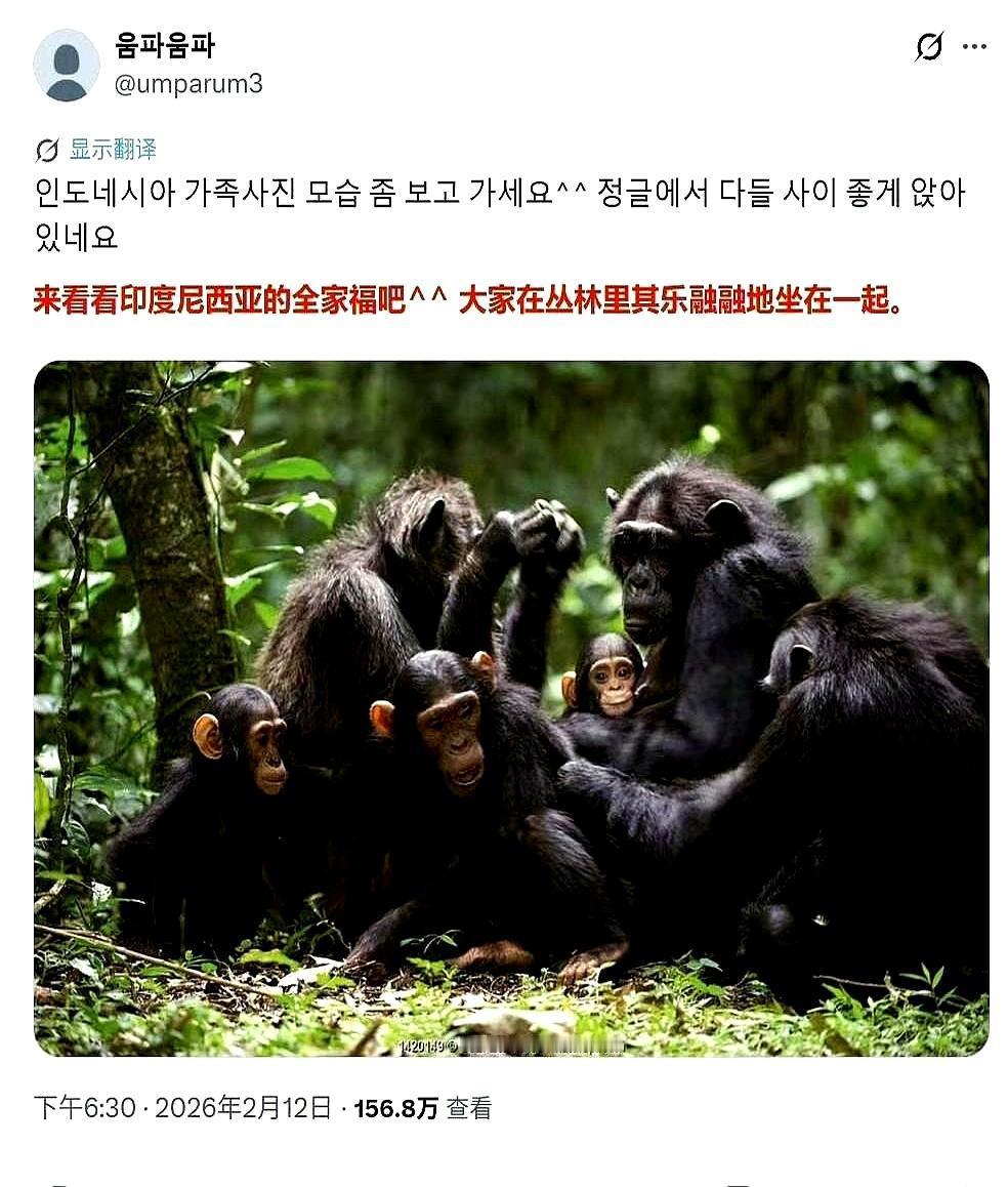 几张演唱会违规照片，竟让整个东南亚罕见联手，围剿韩国。韩国人刚甩出“猴子”