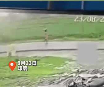 不作死就不会死！印度一名女子外出，在回家的路上，天空下起了雷雨，她听别人说雷雨天