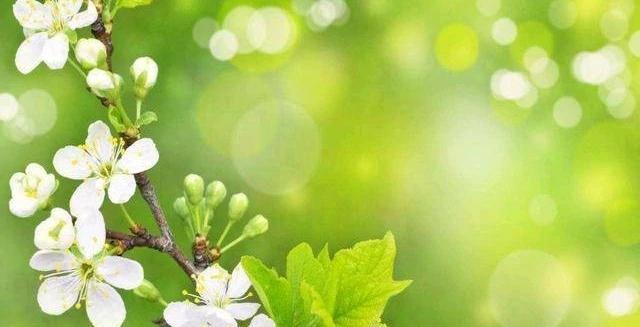 下周4大星座福禄齐来！手持聚宝盆，小财不断大财入账在这个充满挑战与机遇的世界里
