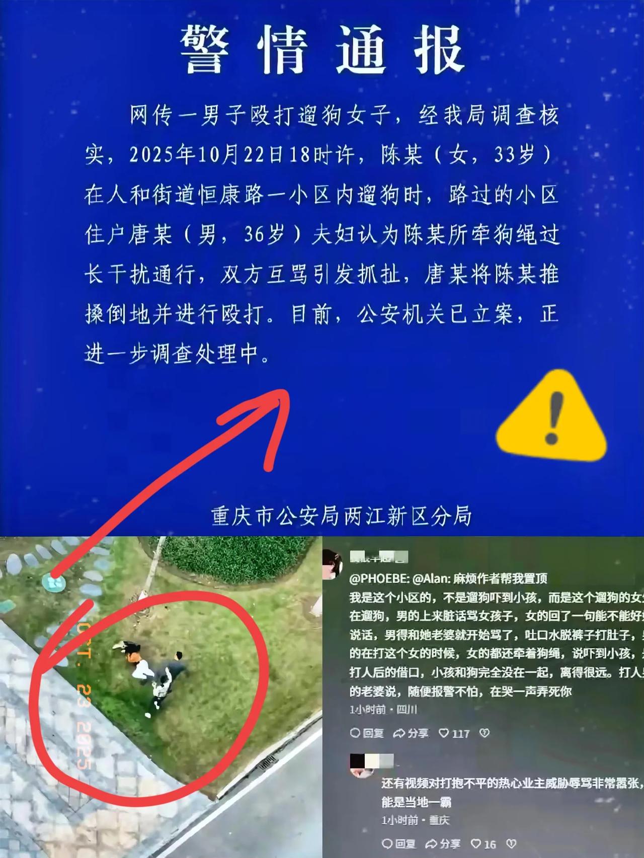 重庆一女子小区遛狗被男子殴打，这事儿真是让人火大！10月22日，陈某在人和街道恒
