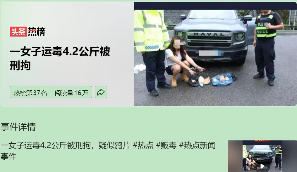这起案件给我们提了个醒，物流这关，必须盯紧了。现在的快递物流，快是快，可也给毒品