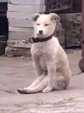 你弟什么身份居然还有门卫没结婚前能睡就行，要结婚的时候直接装修成豪华大别墅