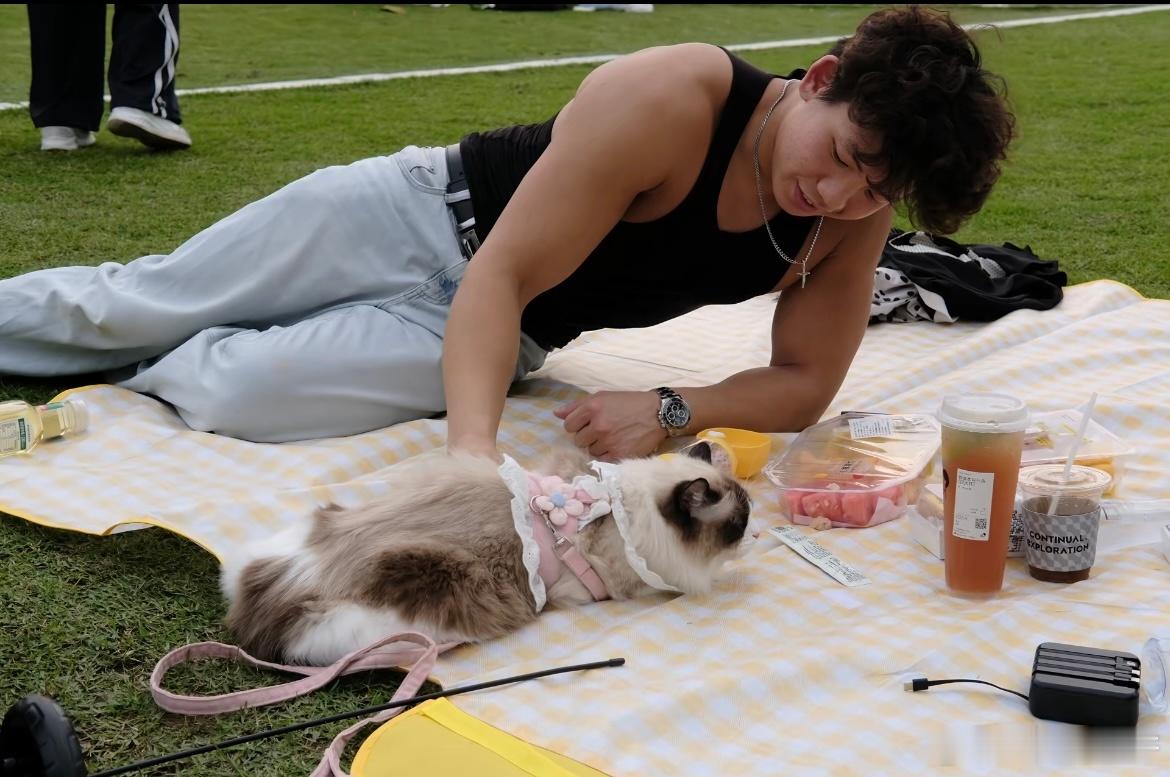 和男朋友带着猫咪去野餐啦