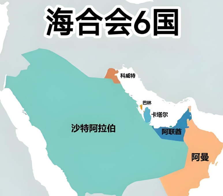 中东国家别指望中国保护自己中国不出手，中东国家自己要争气
