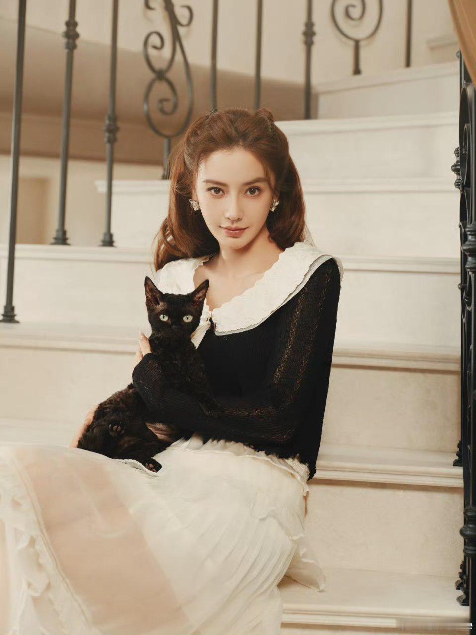 我爱上了一只猫🐱