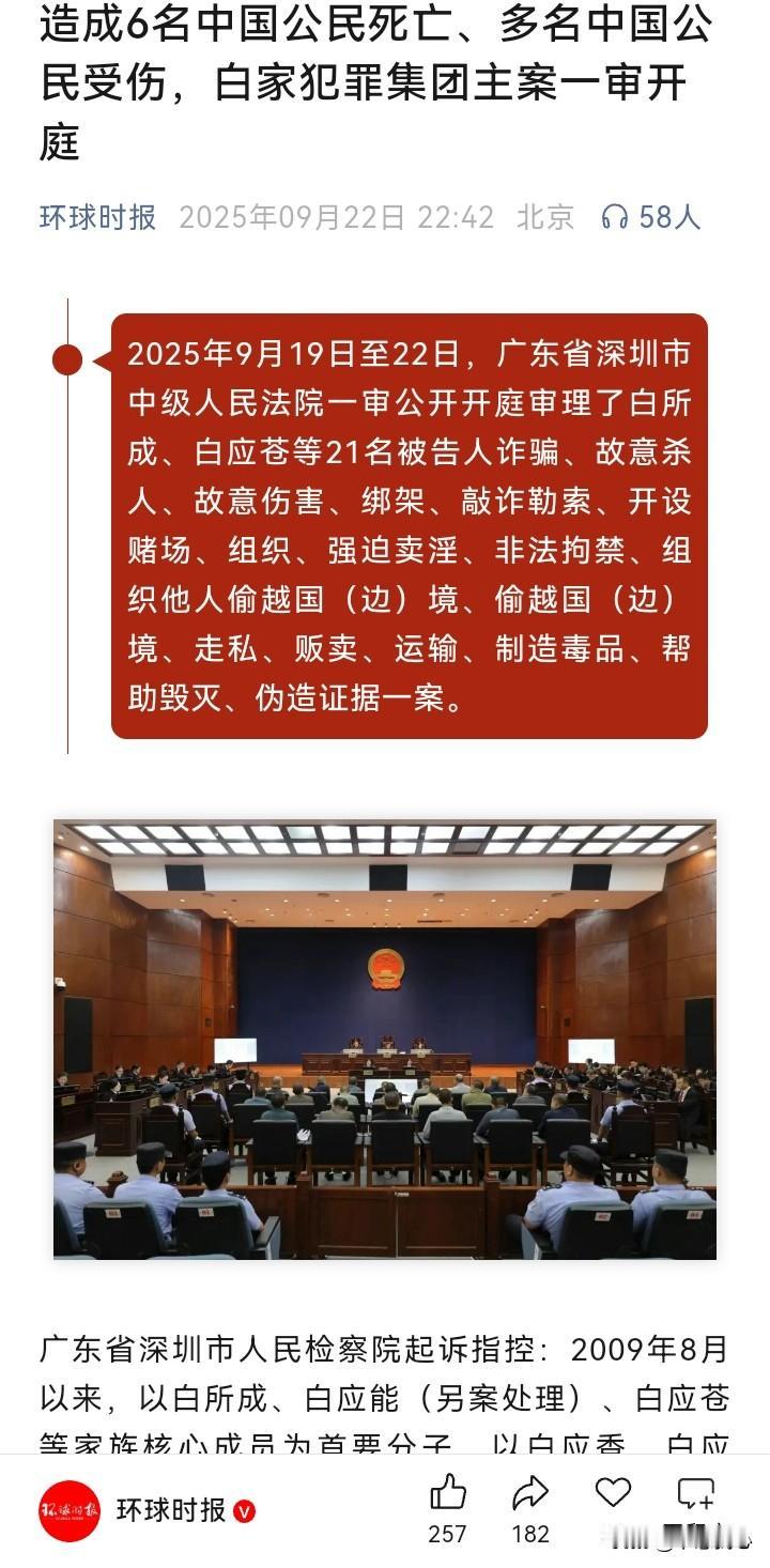 造成6名中国公民死亡；涉赌、诈资金200余亿元；贩卖、制造毒品甲基苯丙胺约1