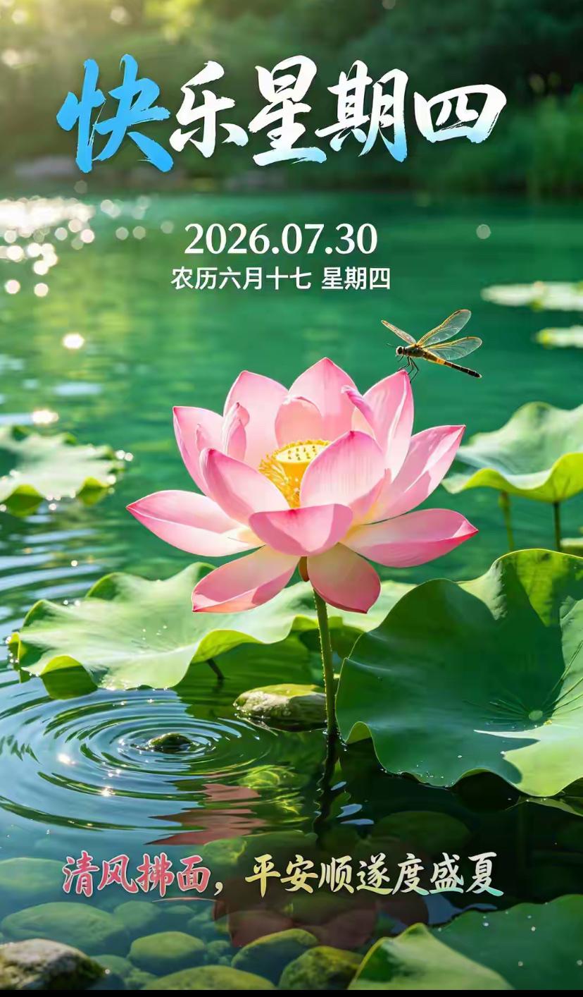 🌺2026./7月30日，早安顺遂，心静消暑，盛夏安然🌺☘️🌸朝霞映照